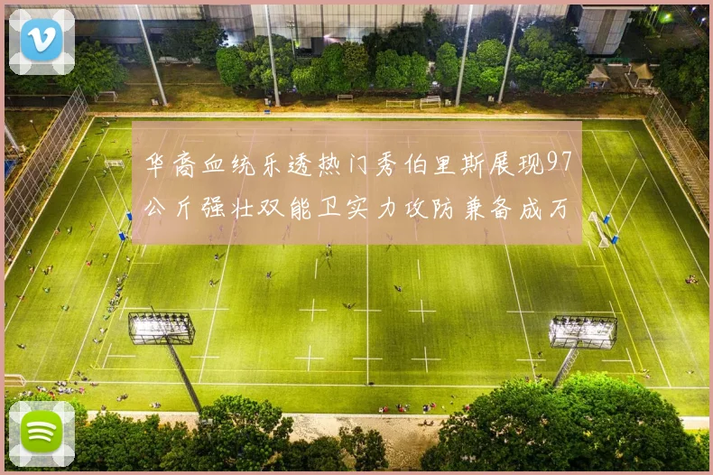 华裔血统乐透热门秀伯里斯展现97公斤强壮双能卫实力攻防兼备成万金油之选
